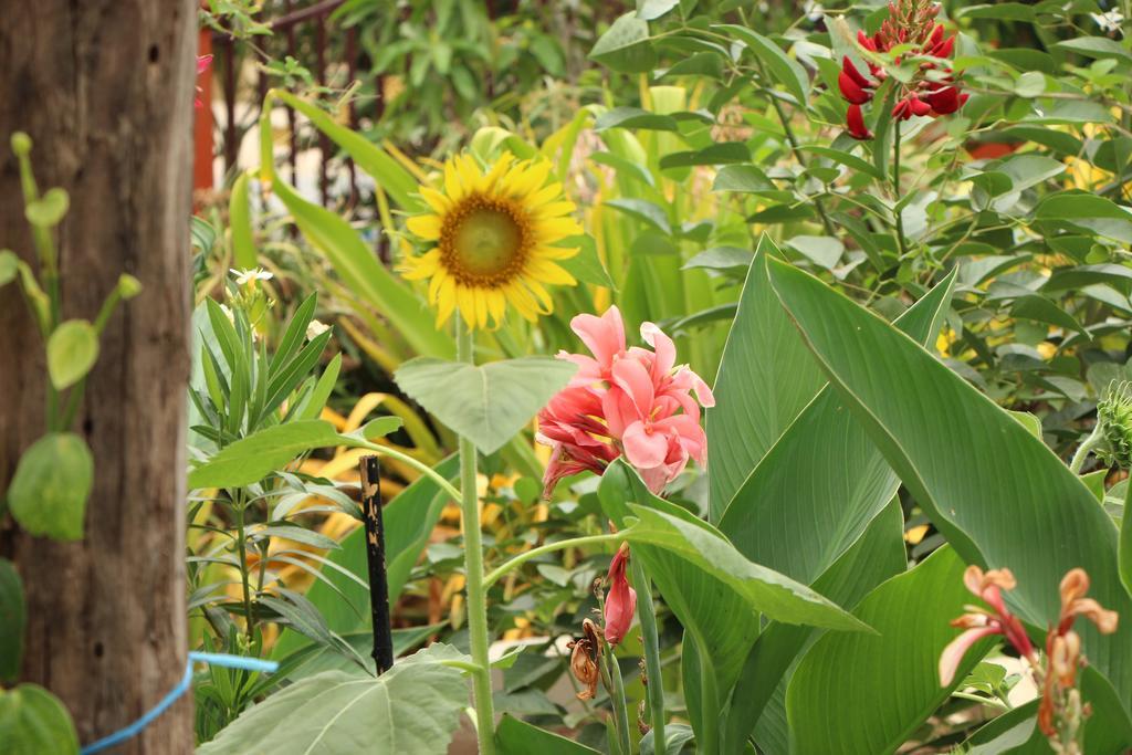 Ravorn Villa Boutique Battambang Zewnętrze zdjęcie