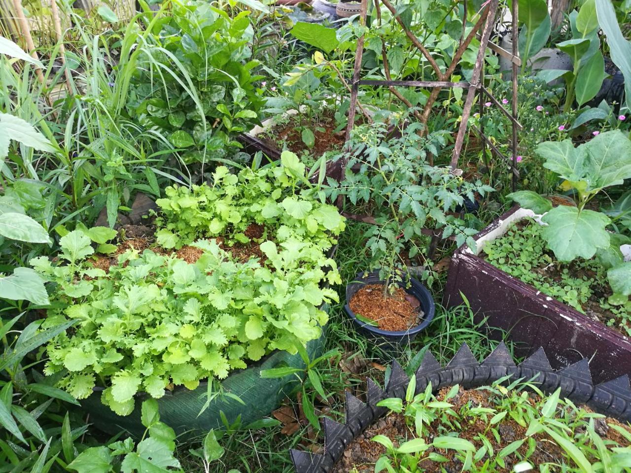 Ravorn Villa Boutique Battambang Zewnętrze zdjęcie